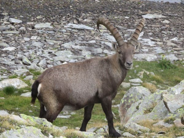 Wandern in Lystal - Walserwege in Gressoney